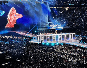 Brands Face Issues as They Aim to Bank on the Big Business of Taylor Swift